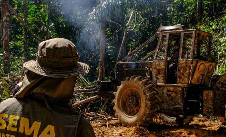 Justiça Federal julga improcedente o pedido de restituição de trator apreendido em razão de desmatamento